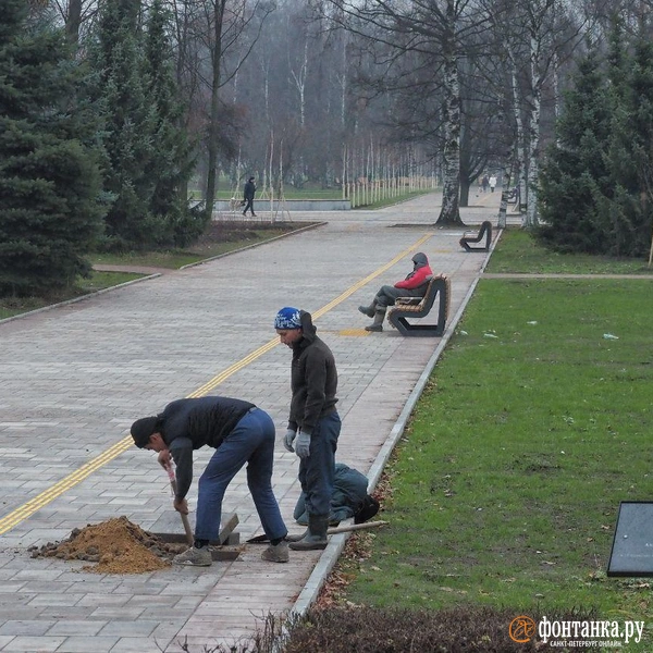Источник: Михаил Огнев / «Фонтанка.ру»