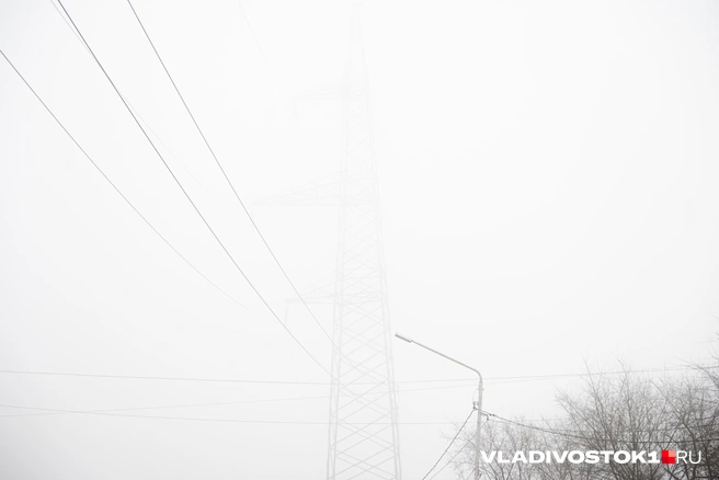 Источник: Елена Буйвол / VLADIVOSTOK1.RU