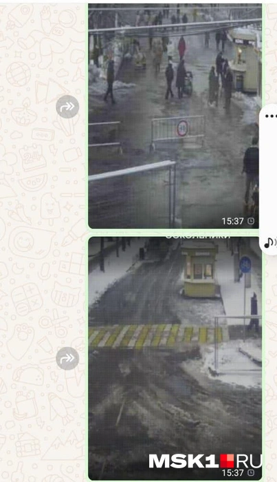 Сравнение посещаемости Песочной аллеи и 3-го Лучевого просека 24 ноября 2024 года | Источник: Художница Татьяна Тюкавкина