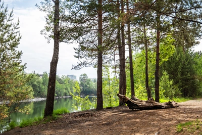Власти Иркутской области ограничат посещение лесов с 30 апреля