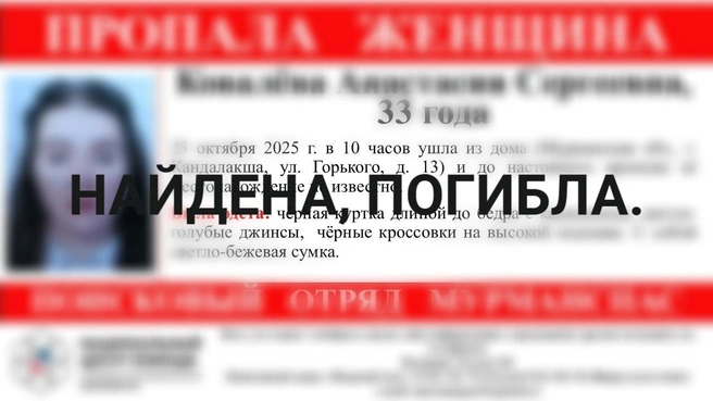 Источник: поисковый отряд «МурманСпас» / Vk.com