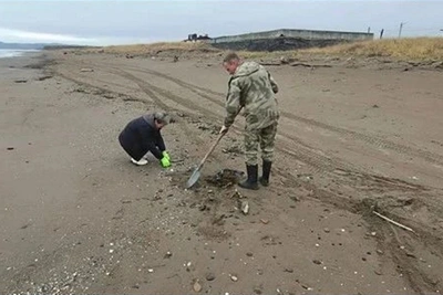 На Сахалине собрали свыше 3 тонн загрязнённого песка