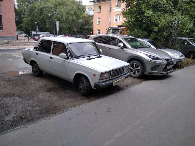 За два месяца составили около ста протоколов | Источник: Кирилл Плосков / NGS.RU