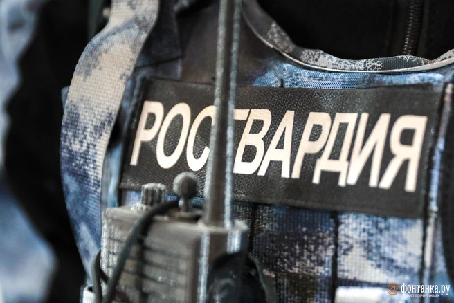В учениях будут участвовать представители нескольких силовых структур | Источник: Сергей Коньков / FONTANKA.RU
