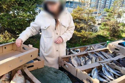 В Казани пресекли незаконную торговлю рыбой в трех районах