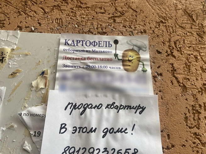 Источник: Читатель 72.RU