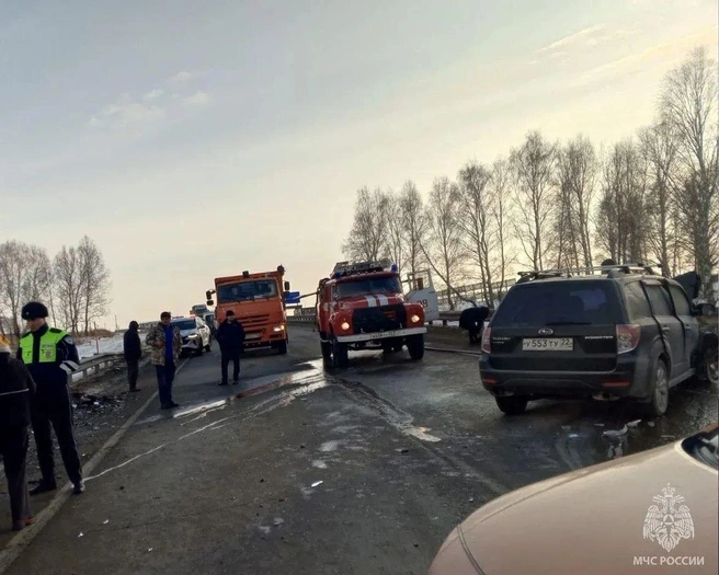 Четверо человек оказались в больнице | Источник: пресс-служба МЧС по Алтайскому краю