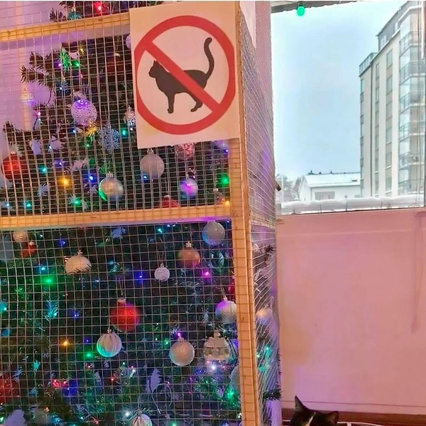 Источник: соцсети