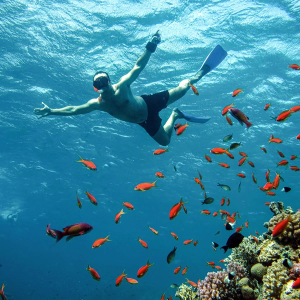 Источник: elfoly/Shutterstock/Fotodom.ru