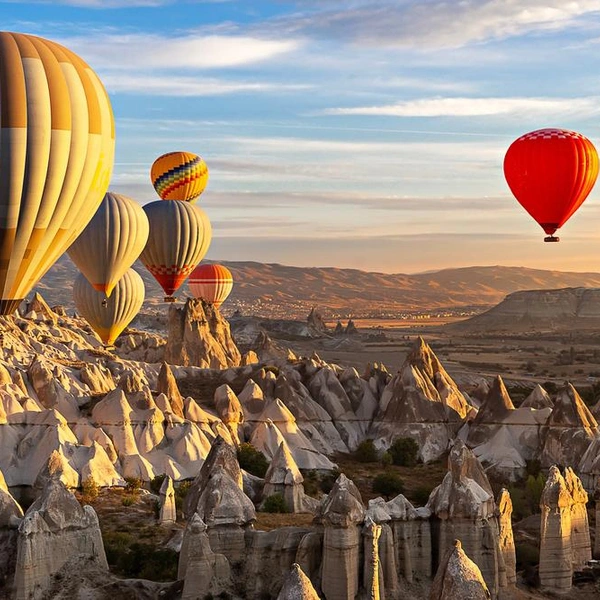 Источник: Shutterstock/Fotodom.ru