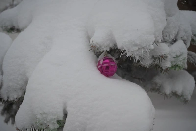 Primorye weekend forecast: snow, ice, and gusty winds