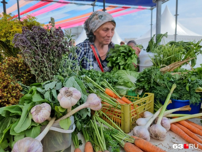 Теперь у каждого продавца на ярмарке должны быть новые документы. Кроме того, все торговые ряды хотят привести к единообразию | Источник: Роман Данилкин / 63.RU