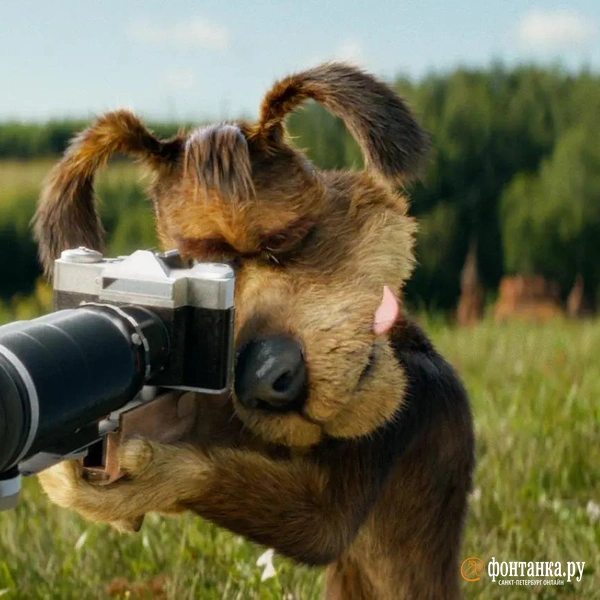 Источник: Кадр из фильма «Простоквашино» (2025)