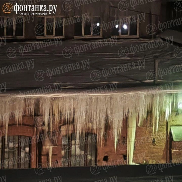 Большая Посадская улица | Источник: читатель «Фонтанки»