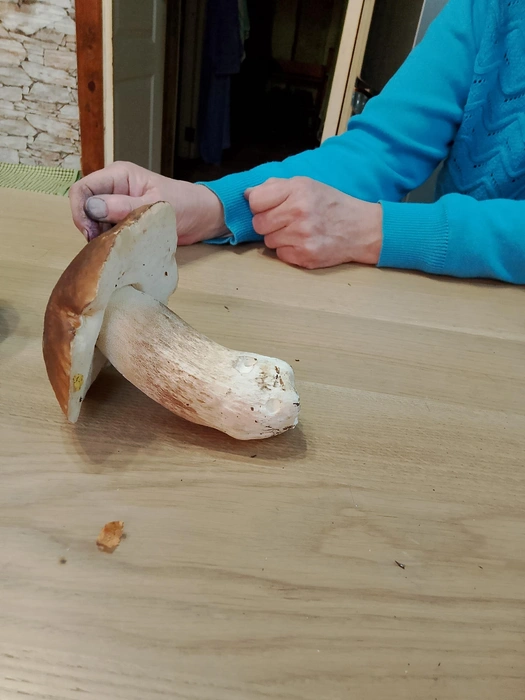 Источник: Вадим Мусихин