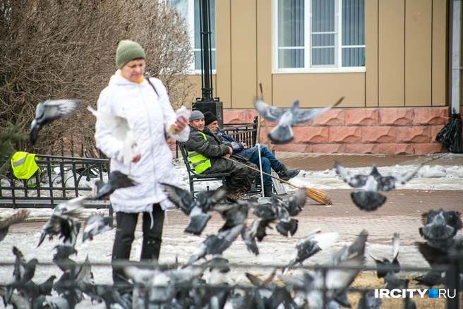 У дворников сейчас работы много, но и отдохнуть не помещает | Источник: Ксения Филимонова / «ИрСити»