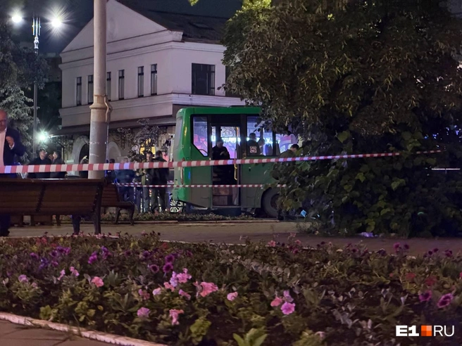 В крупном ДТП сейчас разбираются правоохранительные органы | Источник: Дарья Манохина / E1.RU