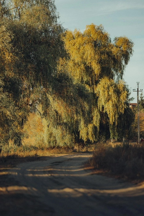 Источник: Александр Воднев