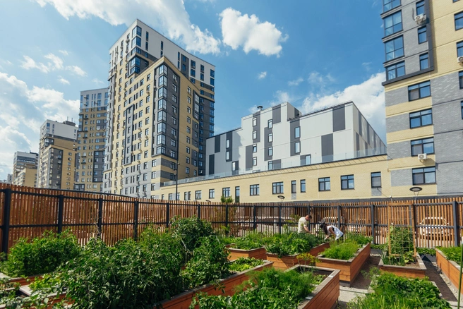 Городское огородничество&nbsp;— новый тренд в благоустройстве придомовых территорий | Источник: «Страна Девелопмент»