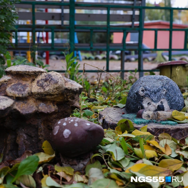Природные мотивы в творчестве — самые популярные | Источник: Евгений Софийчук / NGS55.RU
