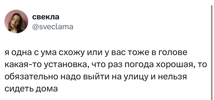 Источник: X (Twitter)