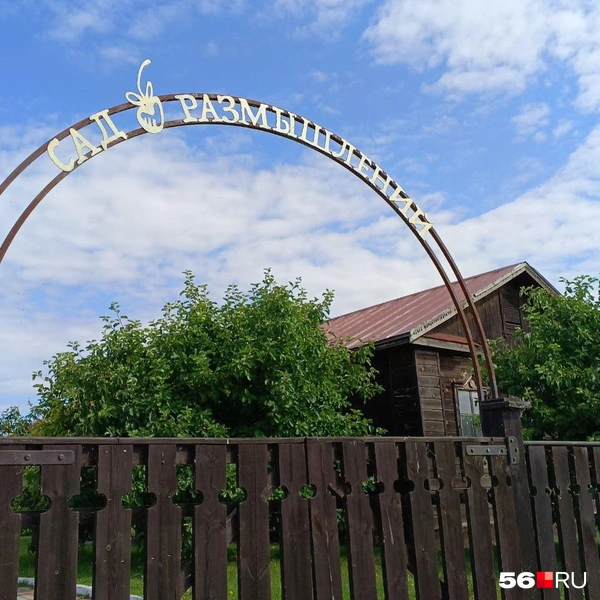 Источник: Анастасия Баринова / 56.RU