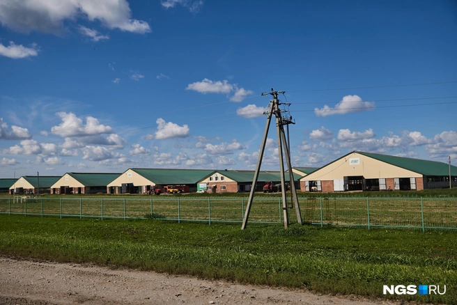 Завод строят в Маслянино | Источник: Александр Ощепков / NGS.RU