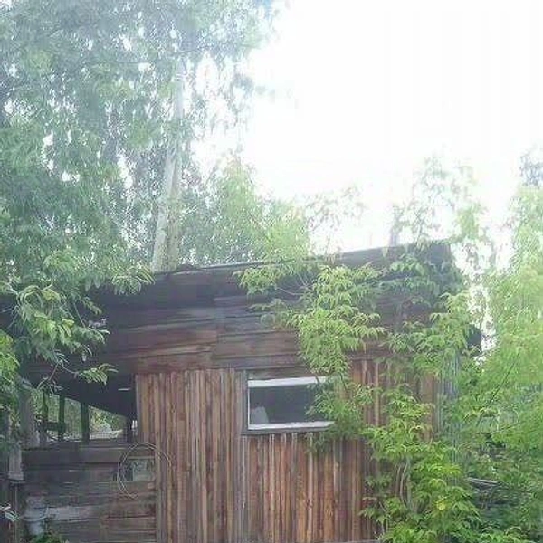 Дачный домик совсем небольшой | Источник: «Циан»