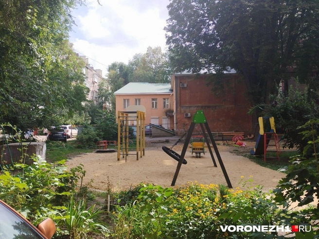 Источник: Дмитрий Волгин / Voronezh1.ru