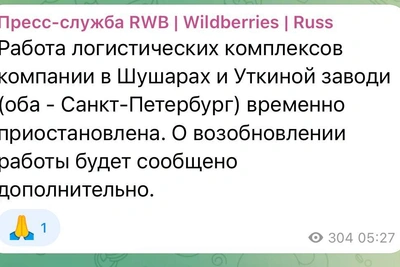 Wildberries приостановила работу двух комплексов в Петербурге