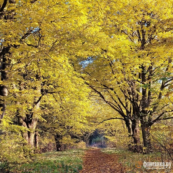 Источник: читатель «Фонтанки»