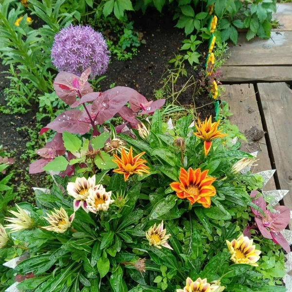 Источник: предоставлено Галиной Злобиной