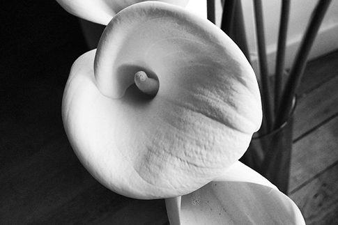 Источник: Instagram (запрещенная в России экстремистская организация) Марии Штерн