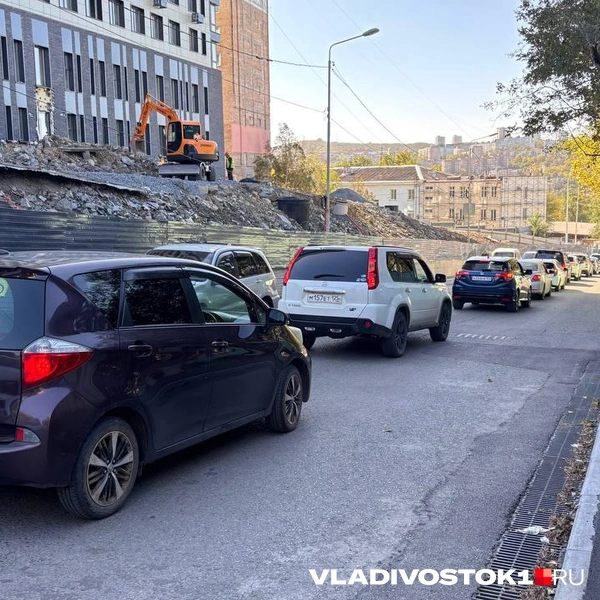 Источник: Елена Буйвол / VLADIVOSTOK1.RU