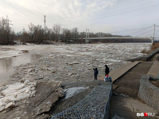 Буквально через несколько суток уровень воды станет еще выше | Источник: Владислав Митрошин / 56.RU