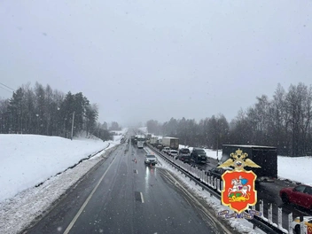 В результате аварии погиб пассажир автобуса, самого водителя госпитализировали | Источник: Подмосковная полиция / T.me