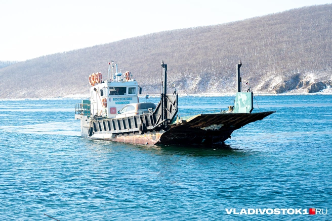 Пока новая идея на стадии обсуждения | Источник: Елена Буйвол / VLADIVOSTOK1.RU