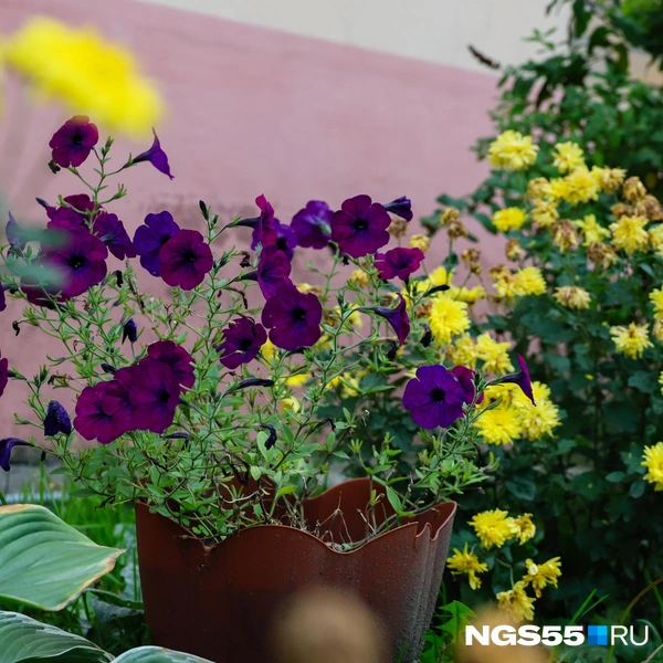 Но немного ярких красок всё же осталось | Источник: Евгений Софийчук / NGS55.RU