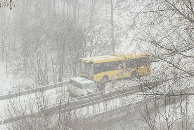 В Ярославле пять автобусов изменили маршрут из-за ДТП