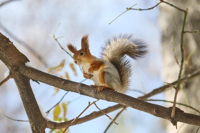 Yakutia faces anomalous warmth and snow this weekend