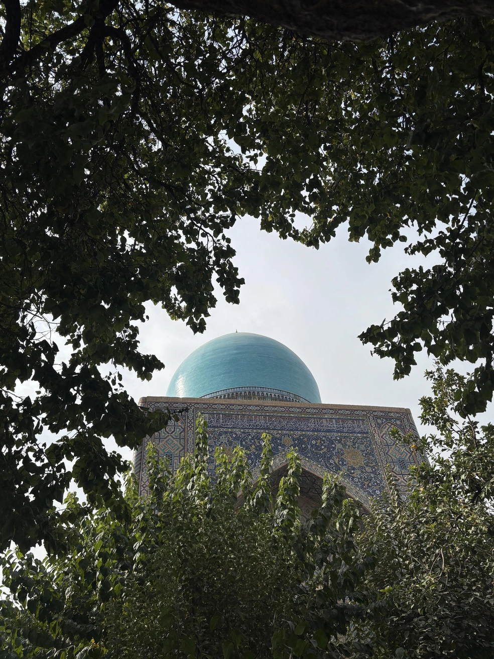 Медресе Тилля-Кари на площади Регистан в Самарканде | Источник: captainu_lyalya / T.me