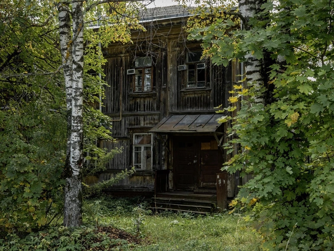 Старые дома скрываются за густыми деревьями | Источник: Александр Куренной / 76.RU