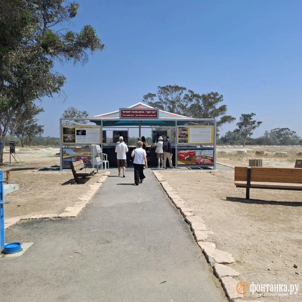 Источник: Ирина Багликова / «Фонтанка.ру»