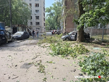 Источник: Алёна Воропаева / Voronezh1.ru