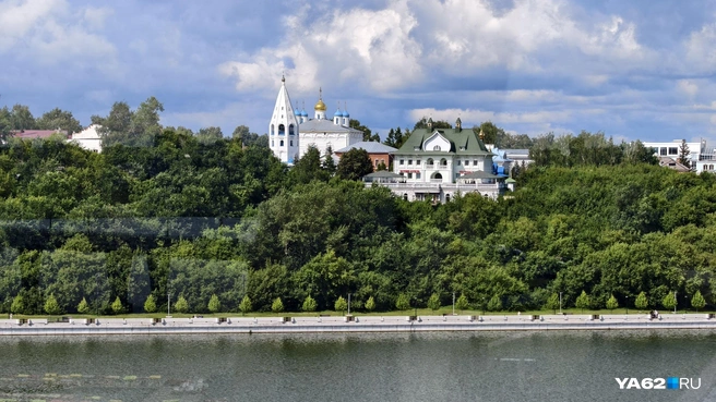 Пейзажи зеленого города | Источник: Антон Васильченко