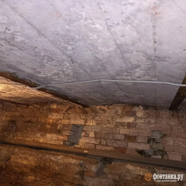 Источник: «Фонтанка.ру»