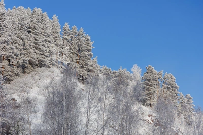 Алтайский край ждет похолодание со снегом и метелями