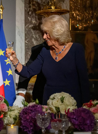 Конфуз в Париже: 76-летняя королева Камилла и 70-летняя Брижит Макрон вышли в одинаковых платьях — кому идет больше?