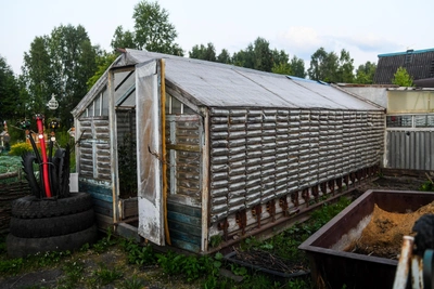 Мартовские работы на приусадебном участке: советы агронома