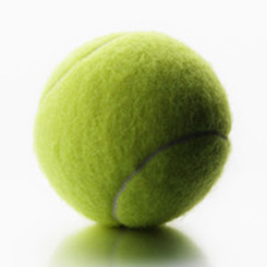 На 13 неделе беременности плод можно сравнить с теннисным мячиком
